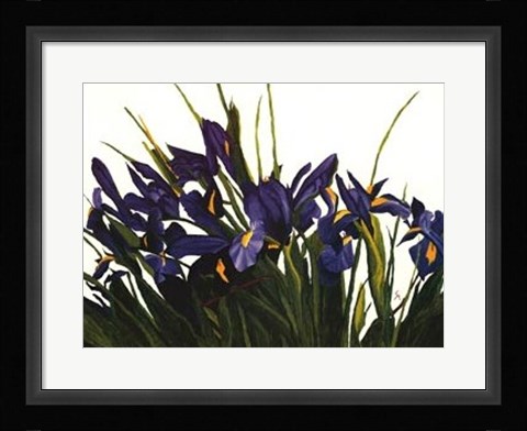 Framed Wild Iris Print