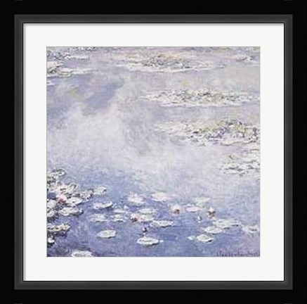 Framed Waterlilies Print