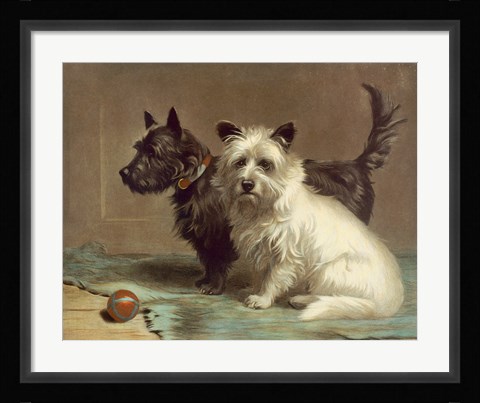 Framed Scotty and Khaki Print