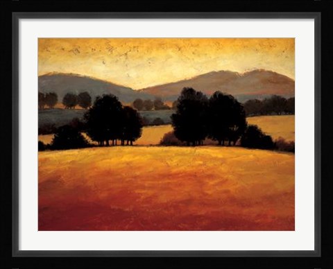 Framed Santa Ynez II Print