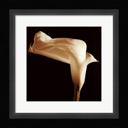 Framed Lily Print