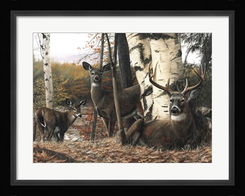 Framed Autumn's Majesty Print