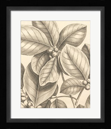 Framed Tropical Connection I Print