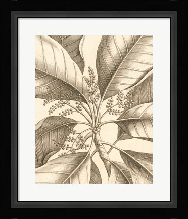 Framed Tropical Connection II Print