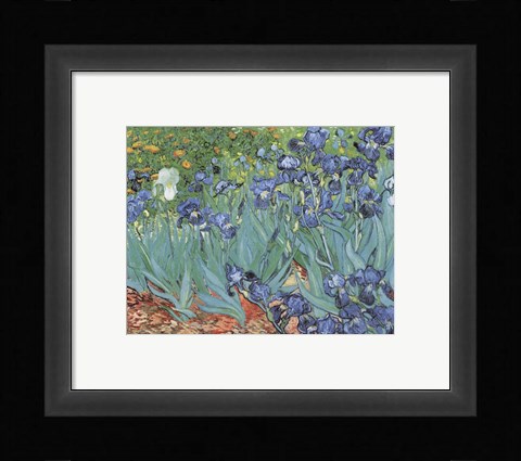 Framed Irises in the Garden, Saint-Remy, c.1889 Print