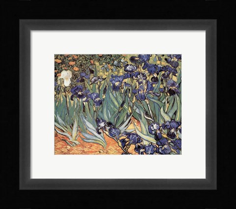 Framed Irises in the Garden, Saint-Remy, c.1889 Print
