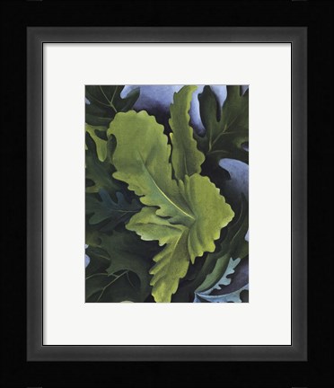 Framed Green Oak Leaves Print