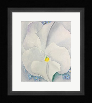 Framed White Pansy Print