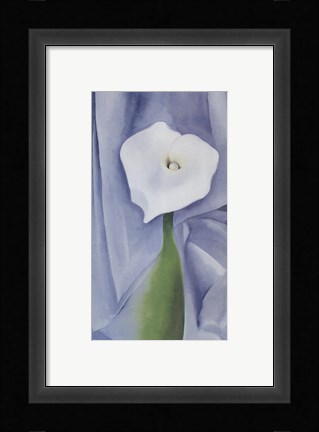 Framed Calla Lily on Grey, 1928 Print