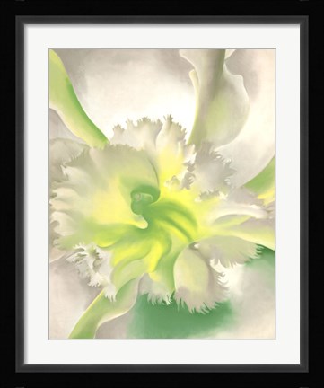 Framed Orchid Print