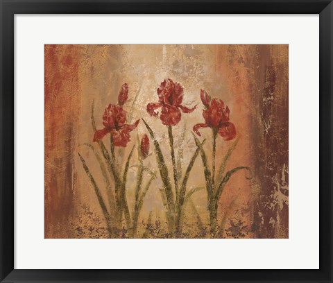 Framed Iris Style Print