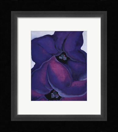 Framed Purple Petunias, 1925 Print