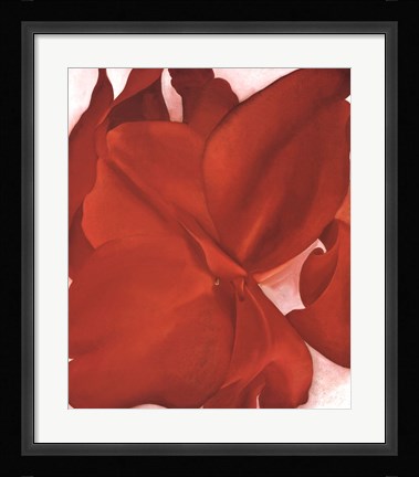Framed Red Cannas Print