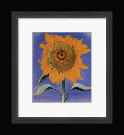 Framed Sunflower, New Mexico, 1935 Print