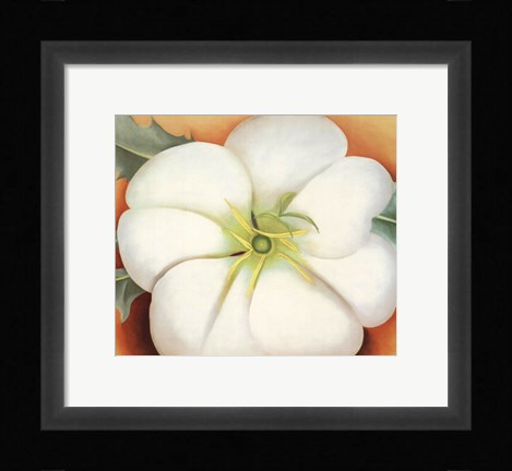 Framed White Flower on Red Earth, No. 1 Print