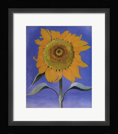 Framed Sunflower, New Mexico, 1935 Print