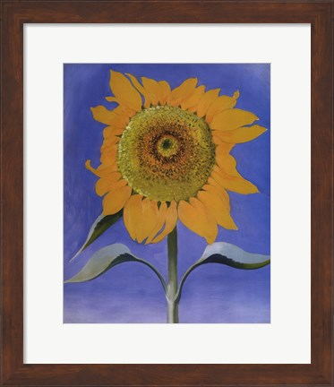 Framed Sunflower, New Mexico, 1935 Print