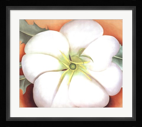 Framed White Flower on Red Earth, No. 1 Print