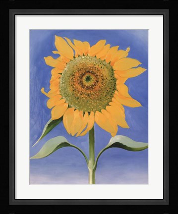 Framed Sunflower, New Mexico, 1935 Print