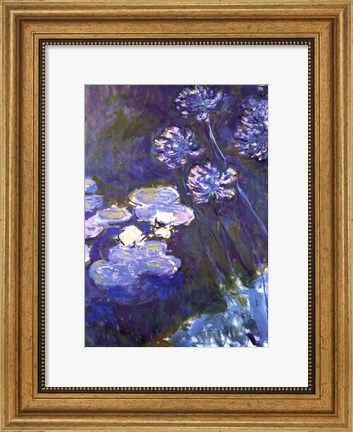 Framed Water Lilies and Agapanthus, 1914-1917 Print