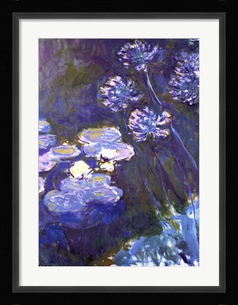 Framed Water Lilies and Agapanthus, 1914-1917 Print