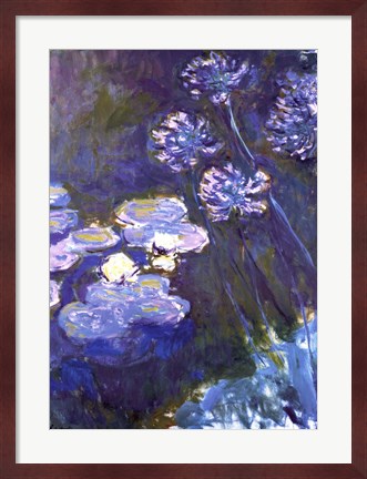 Framed Water Lilies and Agapanthus, 1914-1917 Print