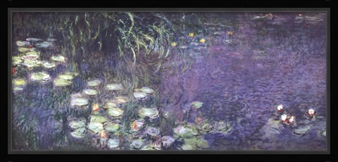 Framed Water Lilies: Morning Print