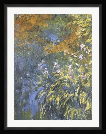 Framed Yellow Iris Print