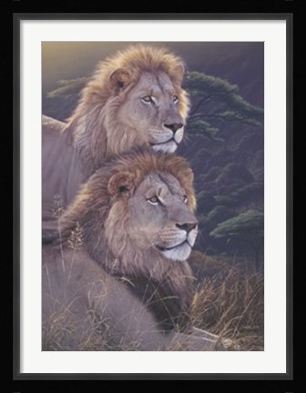 Framed Allied Forces Print