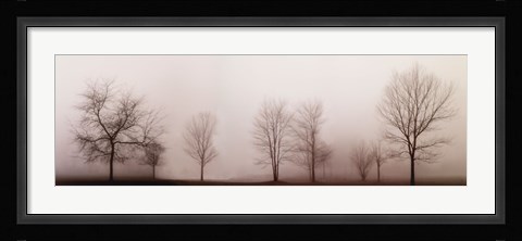 Framed Misty Meadow Print