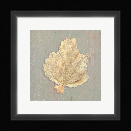 Framed Sea Fan Print