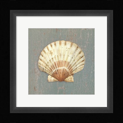 Framed Scallop Shell Print