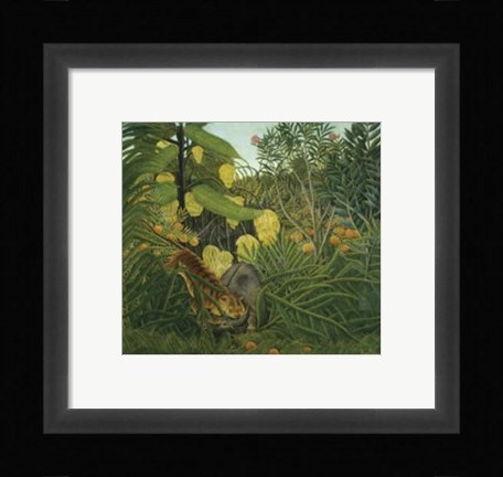 Framed Fight Between a Tiger and Buffalo, 1908 Print