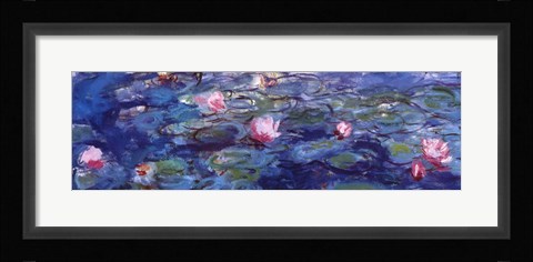 Framed Water Lilies (blue and purple) Print