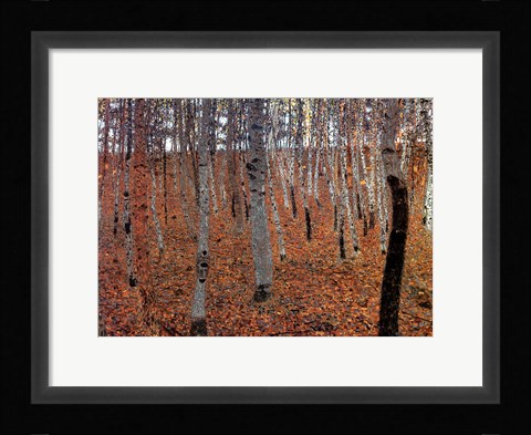 Framed Forest of Beeches, c.1903 Print
