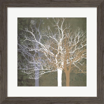 Framed Quiet Forest Print
