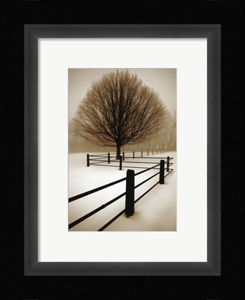 Framed Solitude Print