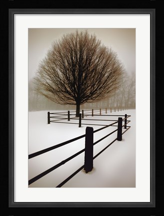Framed Solitude Print