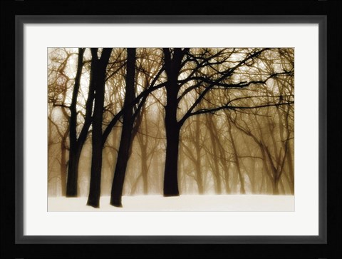 Framed Past Dreams Print