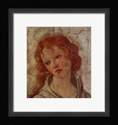 Framed Detail: Venus and the Three Graces II Print