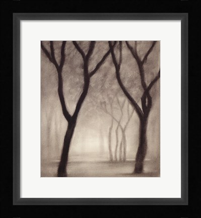 Framed Forest IV Print