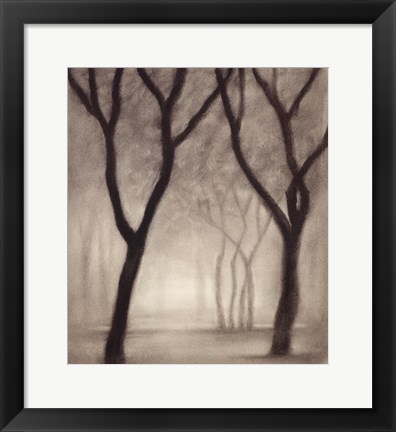 Framed Forest IV Print