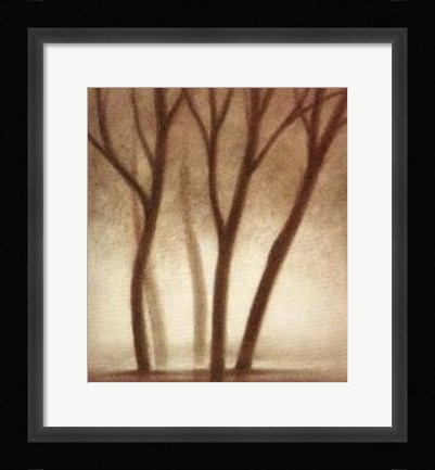 Framed Forest II Print