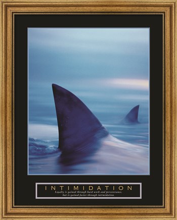 Framed Intimidation - Sharks Print