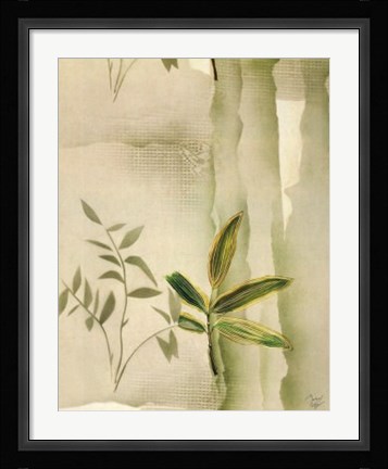 Framed Vizcaya Ferns II Print