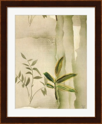 Framed Vizcaya Ferns II Print