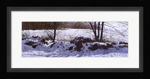 Framed Stonerow Print