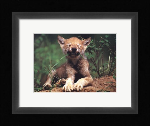 Framed Simple Pleasures Print