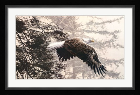 Framed Through the Firs Print