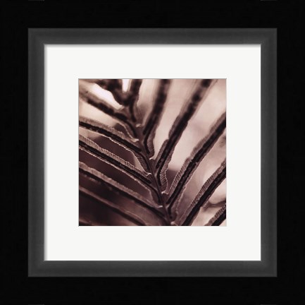 Framed Abstraction Print